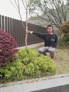 北京大学 施远洲（2022届）